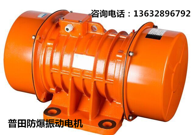 普田防爆振動(dòng)電機