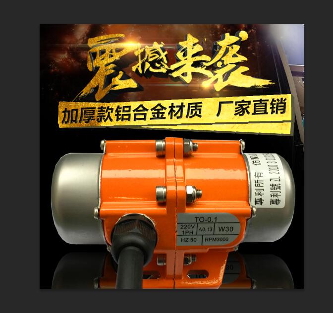 TO30/2S-1振動(dòng)電機
