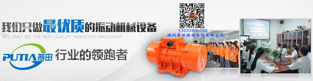 小型振動(dòng)電機