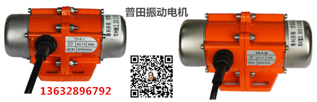 普田小型振動(dòng)電機