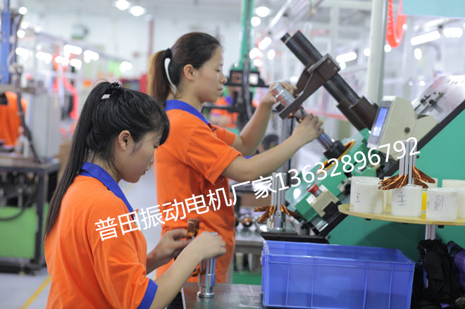 MVE三相異步振動(dòng)電機