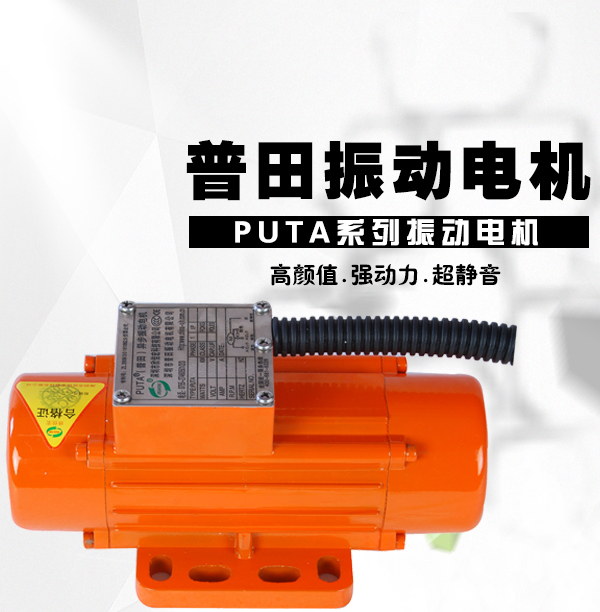 山東振動(dòng)電機廠(chǎng)家